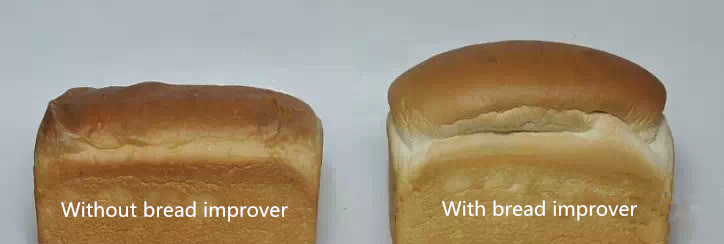 Polvo mejorador de pan de alta calidad