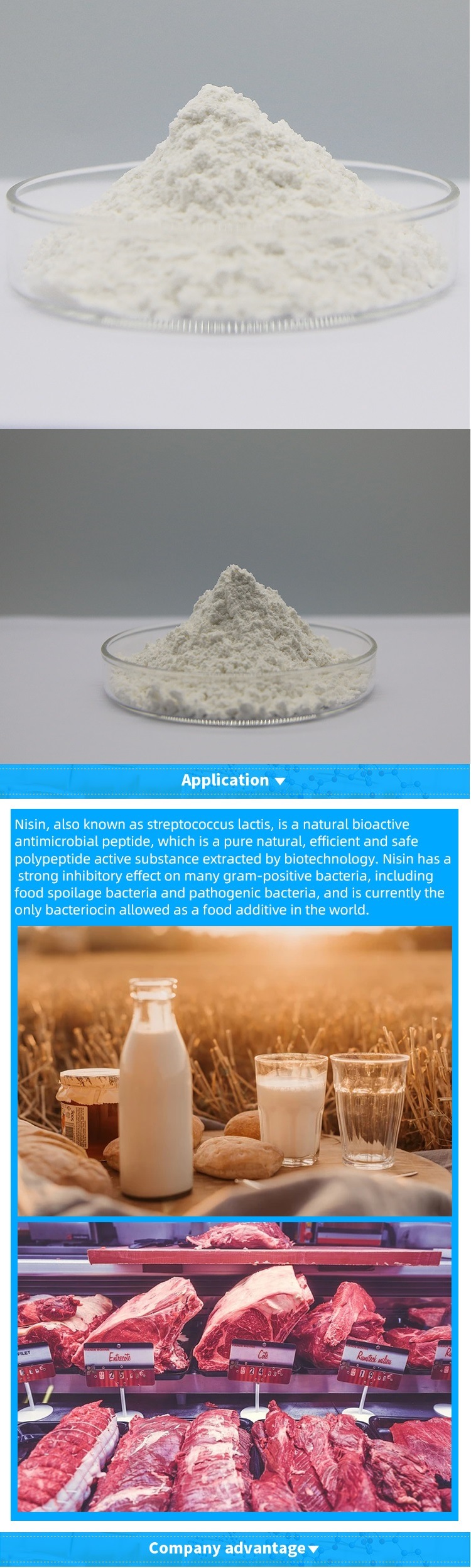Food/Beverage/Cosmetics Natural Preservative Nisin/Nisin E234 Price CAS 1414-45-5 
